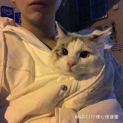 星海霸业手游果盘版下载